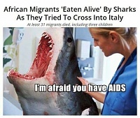 Click image for larger version. 

Name:	Bad News For Great White.jpeg 
Views:	34 
Size:	64.6 KB 
ID:	19583