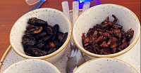 Click image for larger version. 

Name:	sherillaCOCKROACHES dish.png 
Views:	40 
Size:	311.4 KB 
ID:	21139