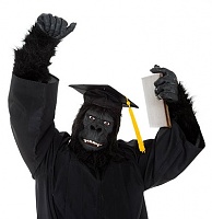 Click image for larger version. 

Name:	ape graduate.jpg 
Views:	32 
Size:	35.5 KB 
ID:	22968