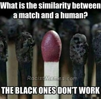 Click image for larger version. 

Name:	nigger-memes-300x296.jpg 
Views:	1950 
Size:	19.7 KB 
ID:	6256