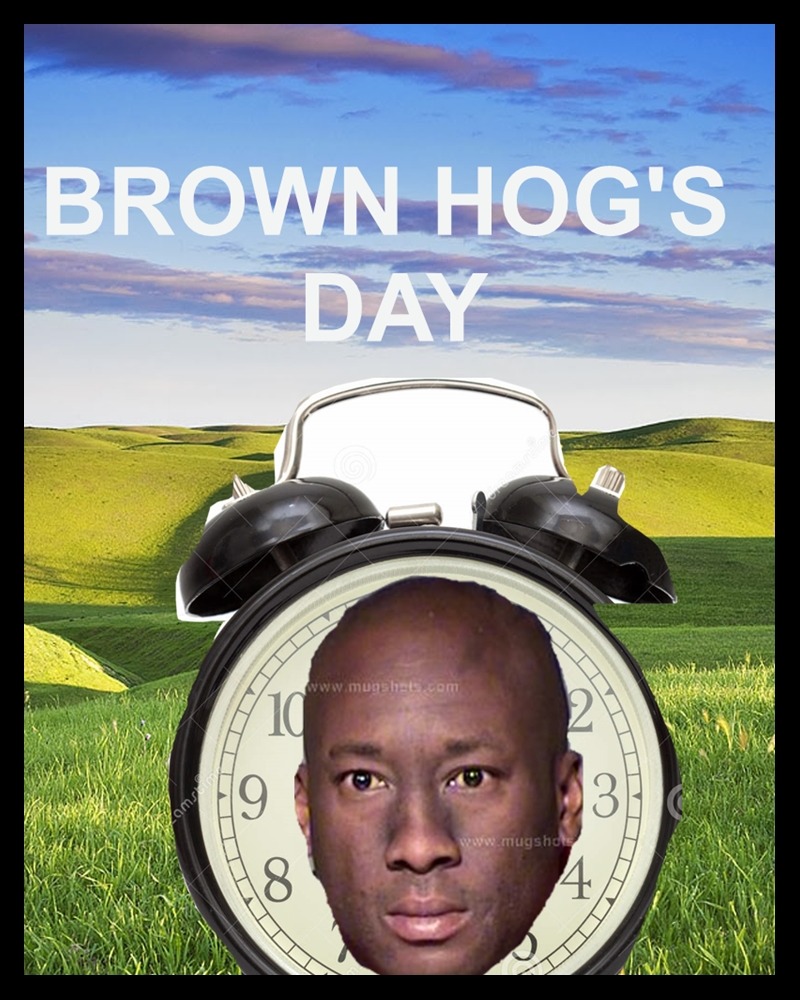 Click image for larger version. 

Name:	BROWN HOG.jpg 
Views:	168 
Size:	481.3 KB 
ID:	8562