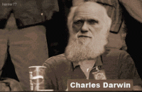 Click image for larger version. 

Name:	darwin approves.gif 
Views:	49 
Size:	851.7 KB 
ID:	13120