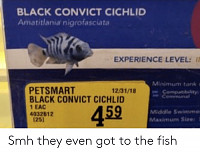 Click image for larger version. 

Name:	black-convict-cichlid-amatitlania-nigrofasciata-experience-level-minimum-tank-petsmart-61222058.png 
Views:	31 
Size:	88.1 KB 
ID:	21236