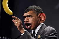 Click image for larger version. 

Name:	barack-obama-monkey-64727.jpeg 
Views:	181 
Size:	67.6 KB 
ID:	2868