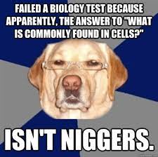 Name:  cells racist dog 1index.jpg
Views: 334
Size:  11.3 KB