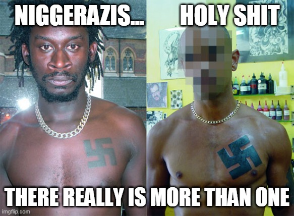 Click image for larger version. 

Name:	niggerazis more than one.jpg 
Views:	1396 
Size:	75.7 KB 
ID:	14347