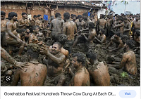 Click image for larger version. 

Name:	india cow manure festival - Google Search.png 
Views:	45 
Size:	514.7 KB 
ID:	22187