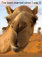 Click image for larger version. 

Name:	Camel 4.jpg 
Views:	43 
Size:	33.5 KB 
ID:	12828
