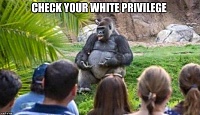 Click image for larger version. 

Name:	whiteprivilege speech.jpg 
Views:	295 
Size:	127.7 KB 
ID:	12257