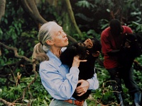 Click image for larger version. 

Name:	janeGoodall.jpg 
Views:	23 
Size:	92.5 KB 
ID:	16330
