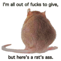 Name:  rats ass.png
Views: 127
Size:  22.0 KB