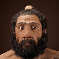 Click image for larger version. 

Name:	neanderthalensis_jg_recon_head_cc_f_custom-f2c049adcbcddc7d7789b4acf04797f43b1a69df-s800-c85.jpg 
Views:	45 
Size:	107.8 KB 
ID:	6792