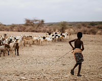 Click image for larger version. 

Name:	Kenya4 droughts put herding cultures at risk.png 
Views:	26 
Size:	796.4 KB 
ID:	22073