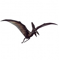 Click image for larger version. 

Name:	Pterodactyl - 001.jpg 
Views:	79 
Size:	44.8 KB 
ID:	11336