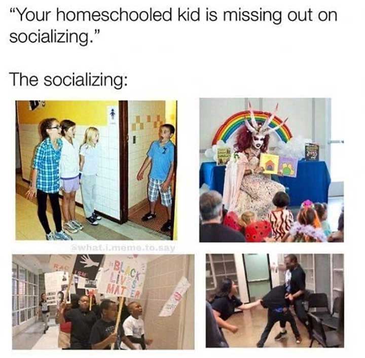 Click image for larger version. 

Name:	homeschooled-kid-missing-out-on-socializing.jpg 
Views:	135 
Size:	56.5 KB 
ID:	20089