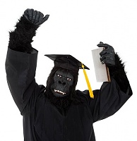 Click image for larger version. 

Name:	ape graduate.jpg 
Views:	29 
Size:	35.5 KB 
ID:	22968