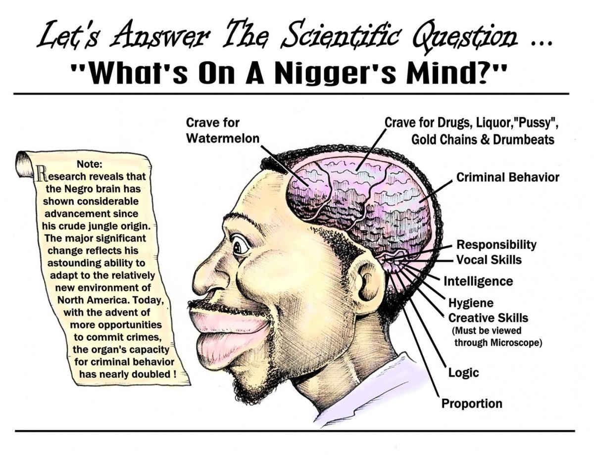 Click image for larger version. 

Name:	nigger.brain.jpg 
Views:	136 
Size:	365.3 KB 
ID:	7005