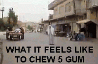 Click image for larger version. 

Name:	CHEW 5.gif 
Views:	100 
Size:	421.3 KB 
ID:	12119