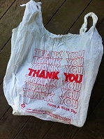 Click image for larger version. 

Name:	plasticbag.jpg 
Views:	78 
Size:	348.3 KB 
ID:	11169