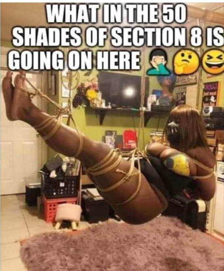 Click image for larger version. 

Name:	what in the 50 shades of section 8.jpg 
Views:	633 
Size:	65.0 KB 
ID:	18644