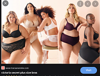 Click image for larger version. 

Name:	victoria's secret plus size model3 - Google Search.png 
Views:	43 
Size:	417.2 KB 
ID:	15838