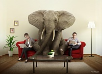 Click image for larger version. 

Name:	Don't mention the elephant in the room.jpg 
Views:	33 
Size:	277.8 KB 
ID:	23041