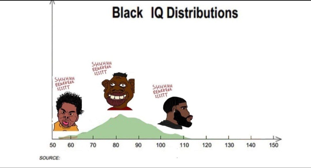 Click image for larger version. 

Name:	black iq distributions 9d6c1f1ddc287645.jpg 
Views:	548 
Size:	40.6 KB 
ID:	19105