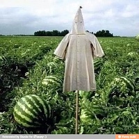 Click image for larger version. 

Name:	racist scarecrow.jpg 
Views:	6 
Size:	106.2 KB 
ID:	6184
