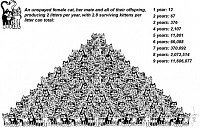 Click image for larger version. 

Name:	Population-Pyramid-1024x656.jpg 
Views:	41 
Size:	172.9 KB 
ID:	20512