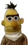 bert