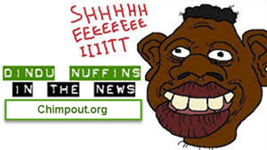 Dindu Nuffins News