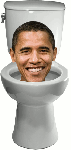 obamaflush