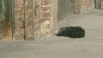 Tumble Weave